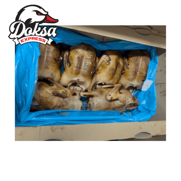 Doksie 6 stuks per doos (Gebrand)